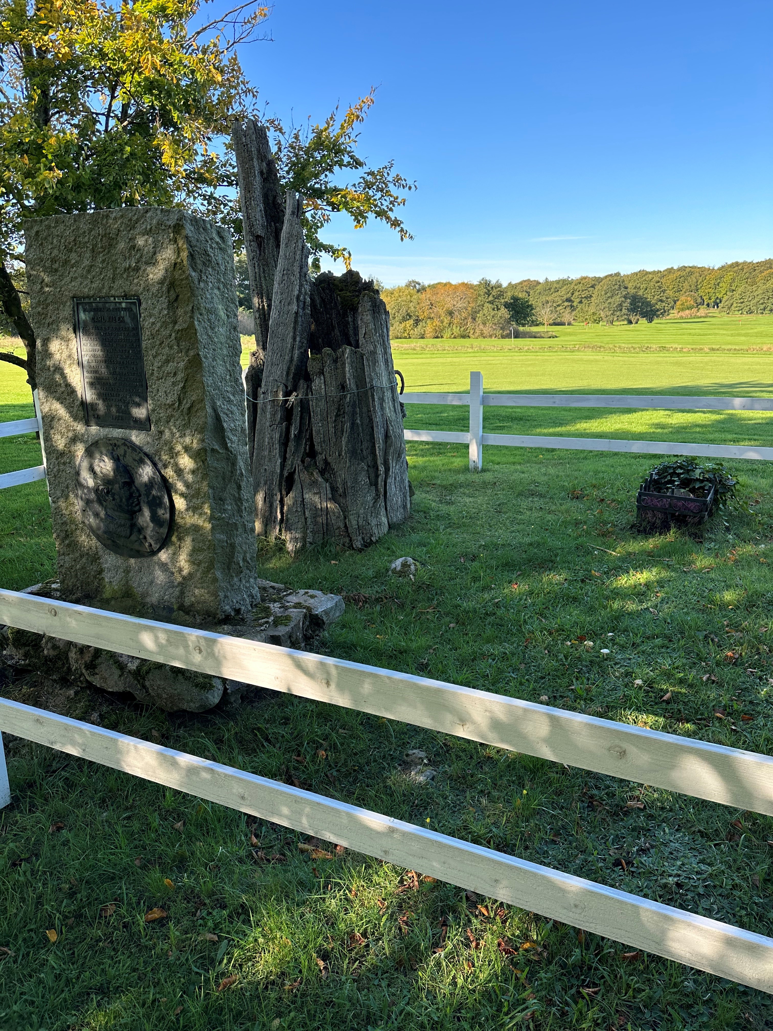 Vinnare 2022, Classe Kronander